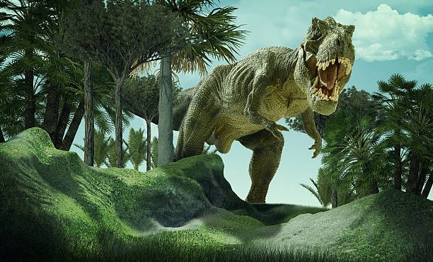 ظهور T. rex: یافته های جدید اندازه و ریشه آنها را توضیح می دهد